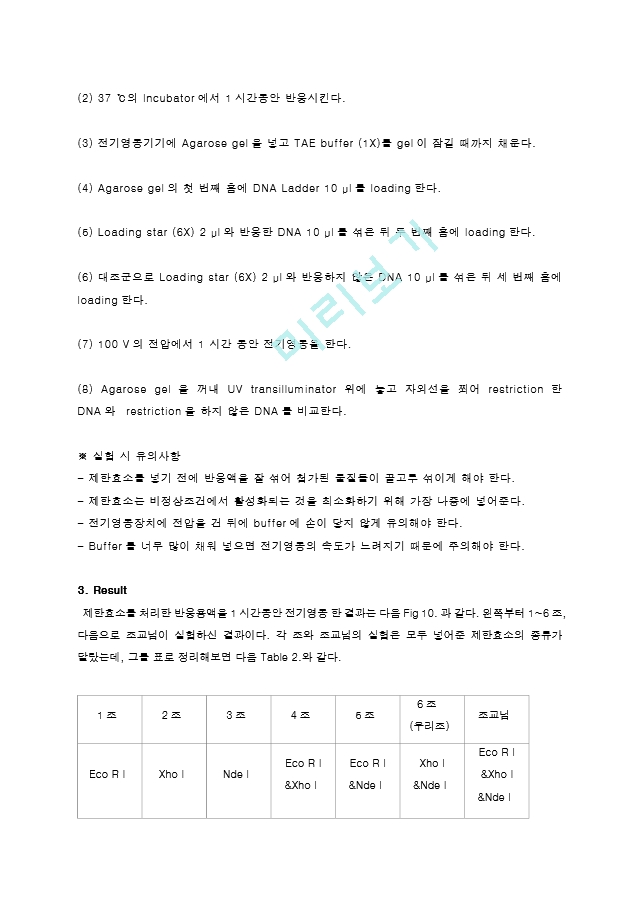 제한효소를 이용한 Restriction of DNA 결과레포트 [A＋].hwp